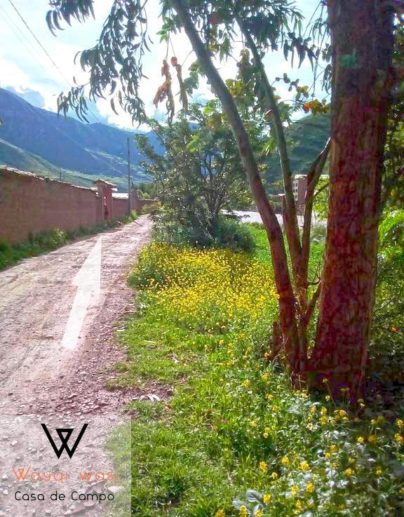 Wayqi Wasi Guest House Писак Екстериор снимка